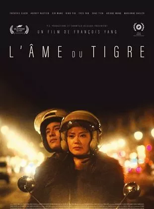 Affiche du film L' âme du tigre