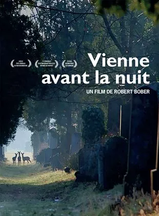 Affiche du film Vienne avant la nuit