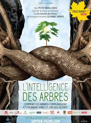 Affiche du film L'Intelligence des Arbres