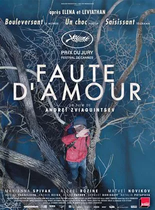 Affiche du film Faute d'amour