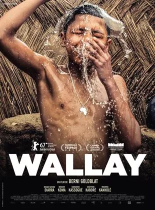 Affiche du film Wallay