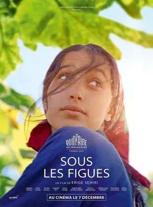 Affiche du film Sous les figues