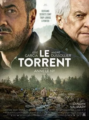 Affiche du film Le Torrent