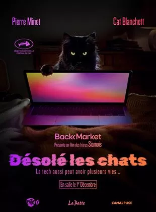 Affiche du film Désolé les chats.