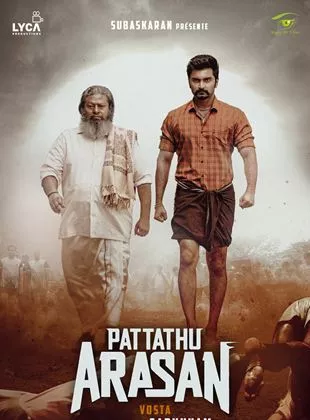 Affiche du film Pattathu Arasan