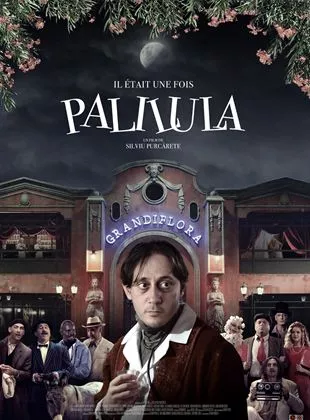 Affiche du film Il était une fois Palilula