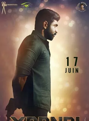 Affiche du film Yaanai