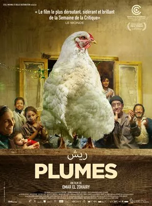 Affiche du film Plumes