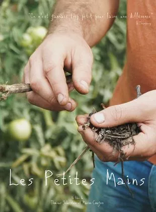 Affiche du film Les Petites mains