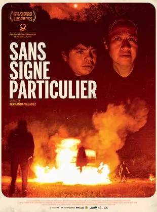 Affiche du film Sans Signe Particulier