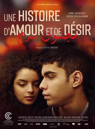 Affiche du film Une histoire d'amour et de désir