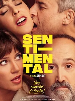 Affiche du film Sentimental