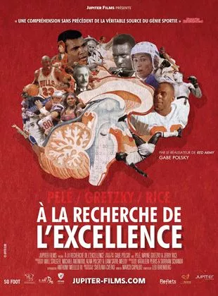 Affiche du film A la recherche de l'excellence