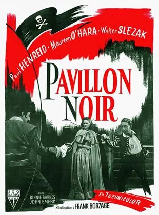 Affiche du film Pavillon noir