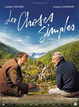 Affiche du film Les Choses simples