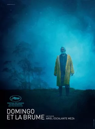 Affiche du film Domingo et la brume