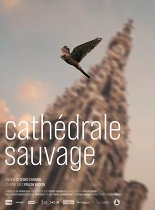 Affiche du film Cathédrale Sauvage