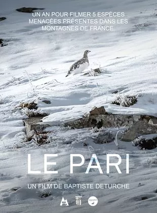 Affiche du film Le Pari