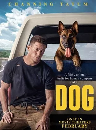 Affiche du film Dog