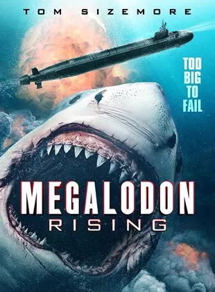 Affiche du film Meg Rising