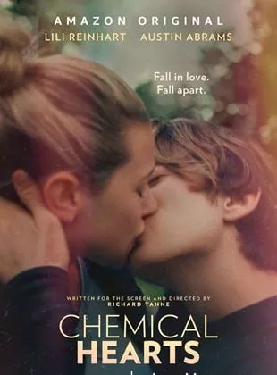 Affiche du film Les Désaccords du cœur
