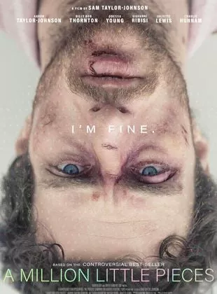 Affiche du film A Million Little Pieces
