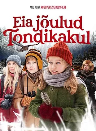 Affiche du film Noël dans la forêt de la chouette