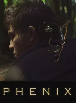 Affiche du film The Phoenix