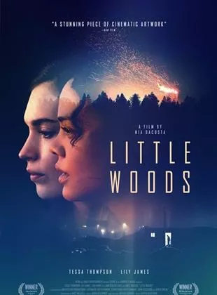 Affiche du film Little Woods