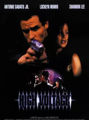 Affiche du film Haute Tension