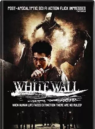 Affiche du film White Wall