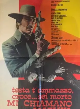 Affiche du film On m'appelle Alleluia