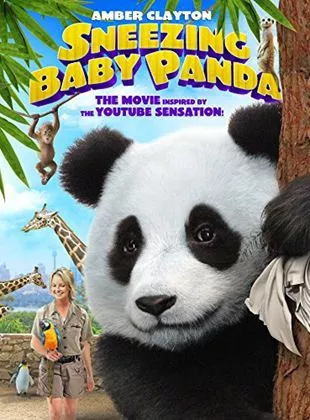 Affiche du film Baby Panda