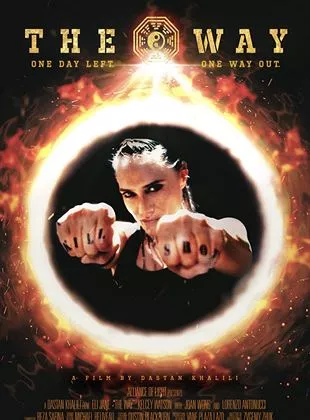 Affiche du film The Way
