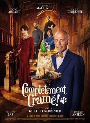 Affiche du film Complètement cramé !