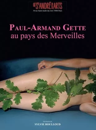 Affiche du film Paul-Armand Gette au pays des merveilles