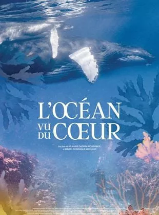 Affiche du film L'Océan vu du coeur