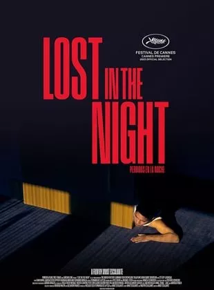 Affiche du film Lost In The Night