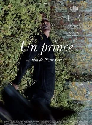 Affiche du film Un Prince