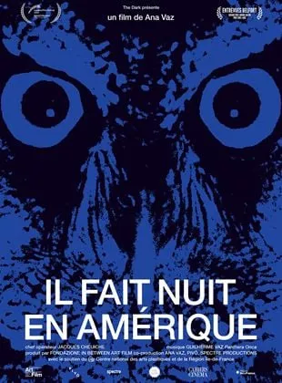 Affiche du film Il fait nuit en Amérique