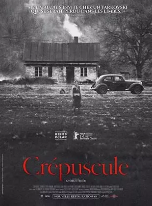 Affiche du film Crépuscule - Film 1990