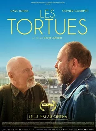 Affiche du film Les Tortues