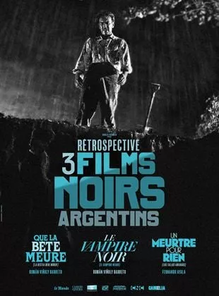 Affiche du film Un meurtre pour rien
