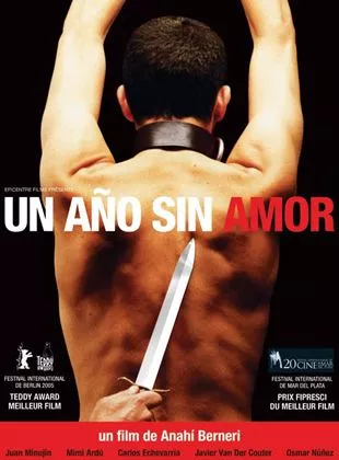 Affiche du film Un Año sin amor