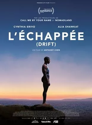 Affiche du film L'Echappée