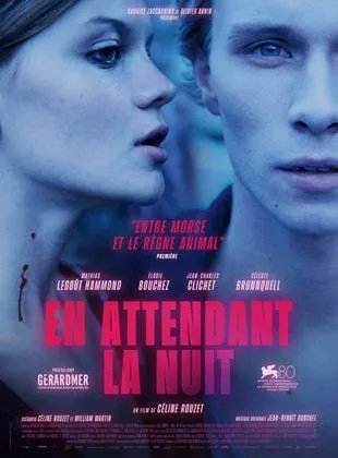 Affiche du film En attendant la nuit - Film 2024