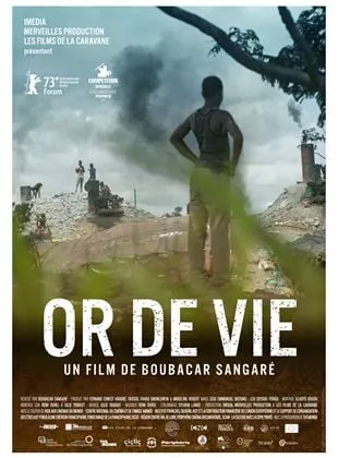 Affiche du film Or de vie