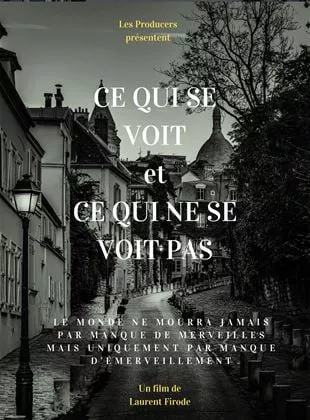 Affiche du film Ce qui se voit et ce qui ne se voit pas