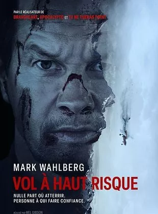 Affiche du film Vol à haut risque