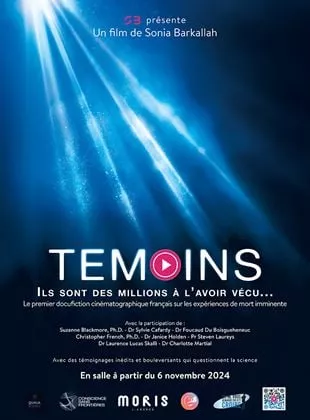 Affiche du film Témoins